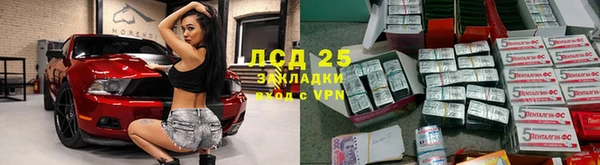 бошки Белокуриха