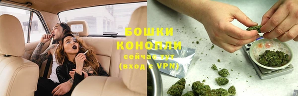 крисы Баксан