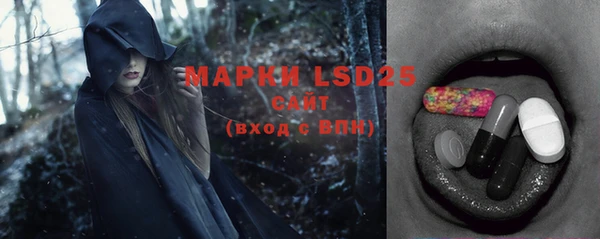 бошки Белокуриха
