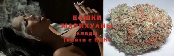 бошки Белокуриха