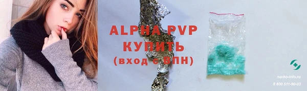 крисы Баксан