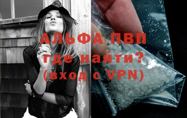 крисы Баксан