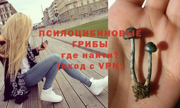 2c-b Балахна