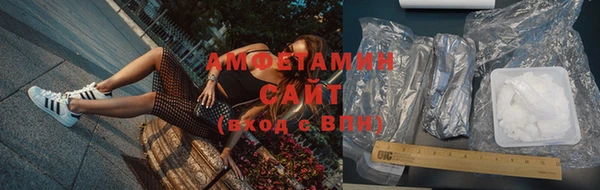 крисы Баксан